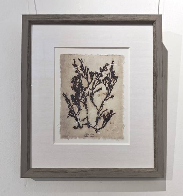 - on , Print by Richard Farrant, measuring 19 x 15 cm (H x W) framed at 35 x 30 cm £75